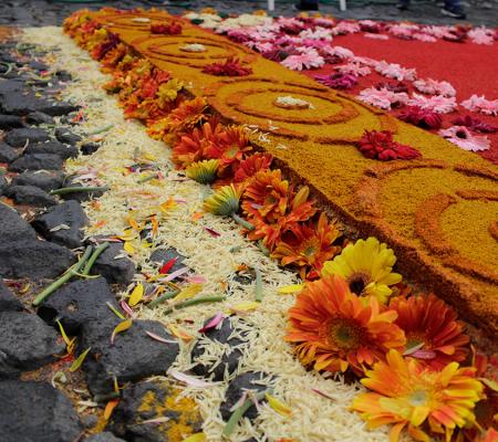 colored sawdust and flowers in traditional alfombra