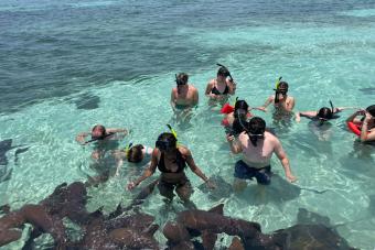 students wearing snorkeling gear and watching small sharks in water