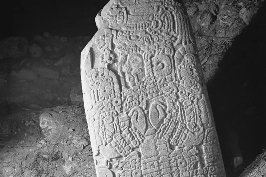 image of maya fragment