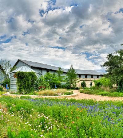 grounds at The Wildflower Center in Austin