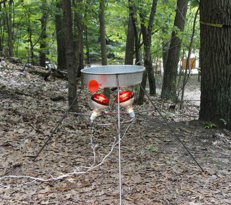 heat lamps used in outdoor sculpture