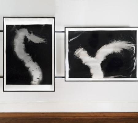 This image is a photograph of two of Cross's works. The works are black and white due to the photogram that was used to capture them. The works illustrate the Mississippi River's waterways and streams. 