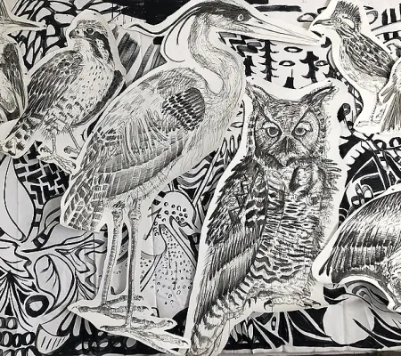 UT Austin alumnus in the masters of Studio Art program Jules Buck Jones at Conduit Gallery in Dallas Texas