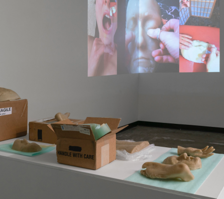 Katy McCarthy's exhibition, Handle With Care, on display featuring wax casts in boxes and projected videos.