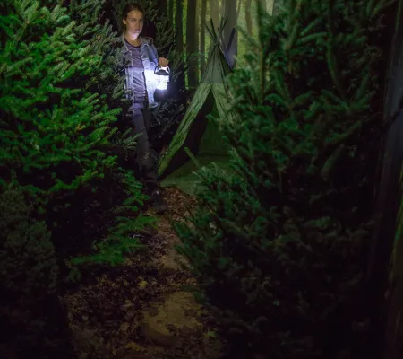 image of a woman traveling through an indoor forest
