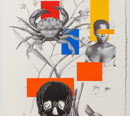 Digital print and collage from contemporary Brazilian artist Rosana Paulino invited to VAC CLAVIS curated exhibition Social Fabric that received 2020 Andy Warhol Foundation grant