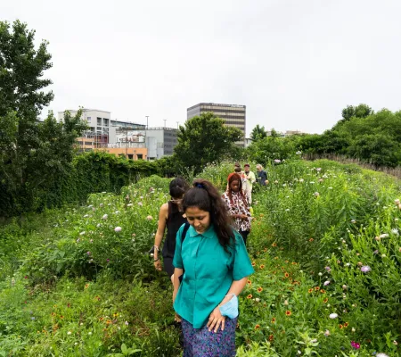 Group of artists in a line traveling through a green field of tall grasses at Sweet Pass Sculpture School