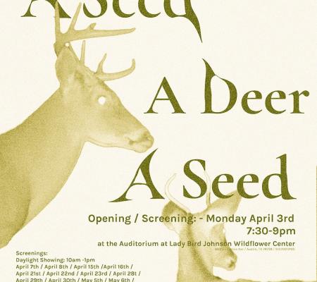 info poster for "A seed a deer a seed" film