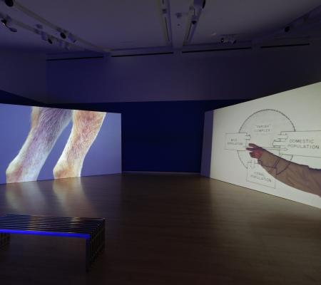 installation image of multi channel video from artist Erin Johnson