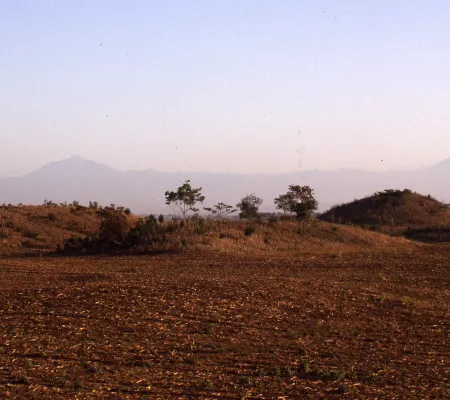 image of a desert landscape