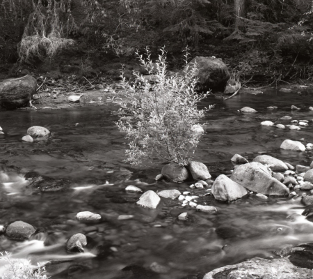 black and white image of a river