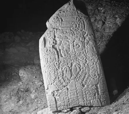 image of maya fragment