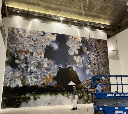 image of a wall installation of a photo