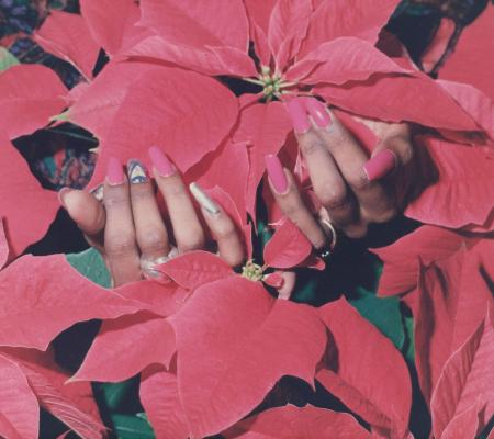 human hands hidden among red flowers