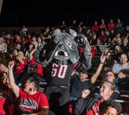 image of a mascot in the bleachers