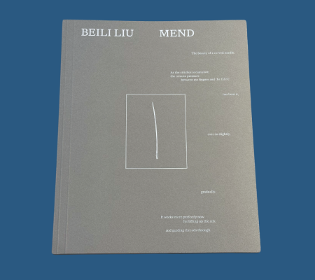 image of a monograph by Beili Liu