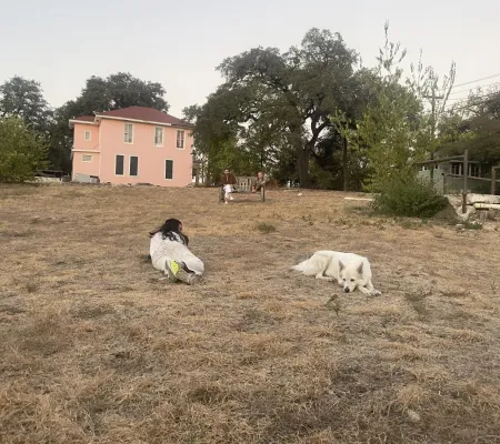 image of a person and their dog laying in a field