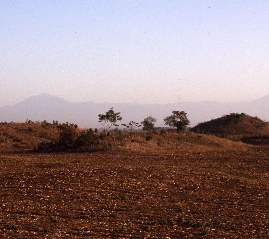 image of a desert landscape