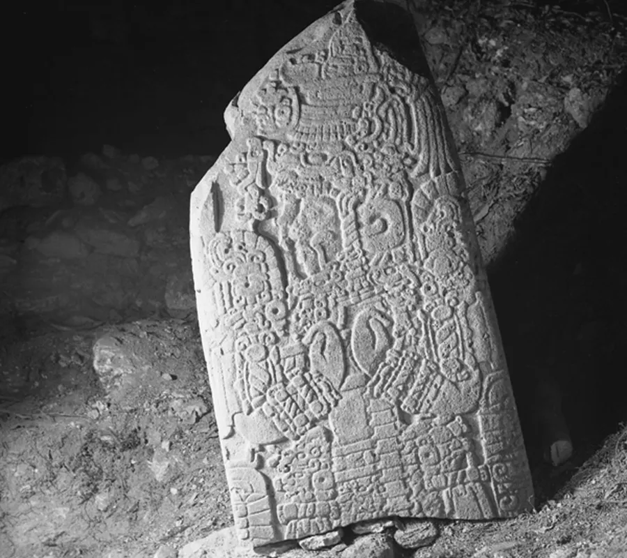 image of maya fragment