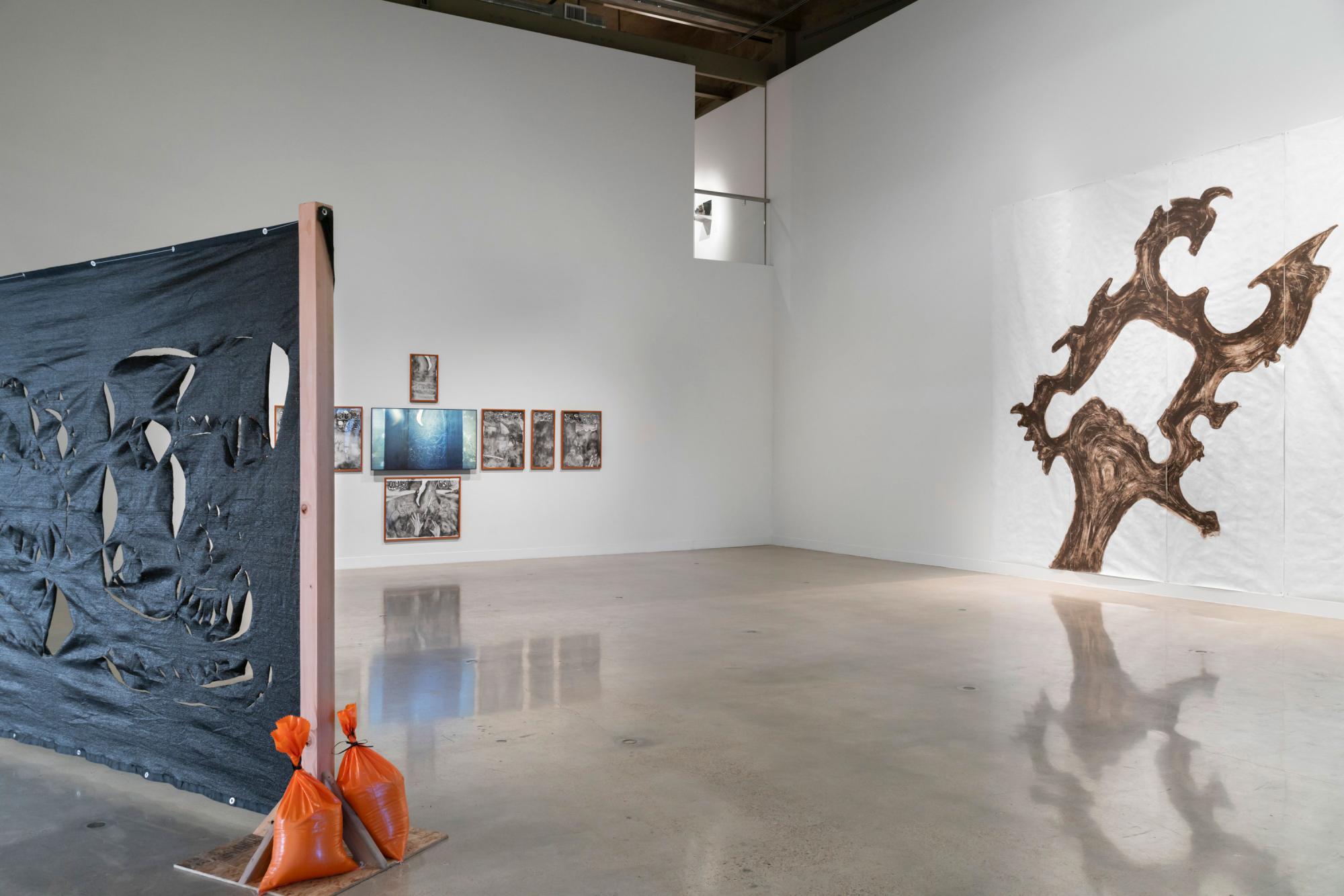 installation view of Pablo Tut: Land Invention