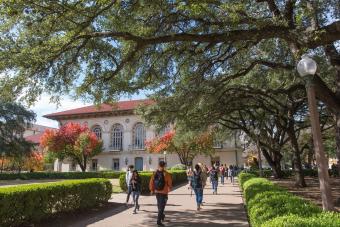 scene of the campus of the university of texas at austin