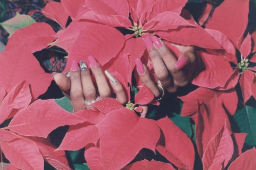 human hands hidden among red flowers