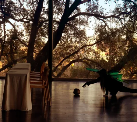 Video still from "Conference Creature" by VLM (Virginia Lee Montgomery. During her sunrise performance artist VLM ritually rolled rocks at to prime an empty conference room at the downtown Austin LINE hotel with natural metaphysical energy