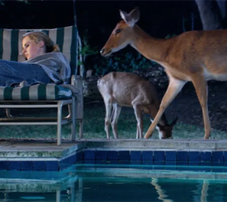 Single-channel video color still of sleeping woman next to pool with roaming deer nearby