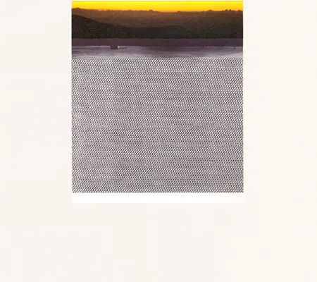 Bethany Johnson We Live on a Planet is illustrated here with a landscape that is created through ink and paper clippings The piece is demonstrating a bright yellow background that is slowly dissolving into a more stark image