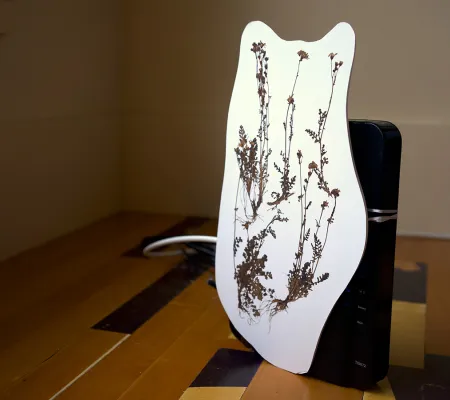 a black iPhone with a white mounted mask tied around it and an image of a pressed botanical on top