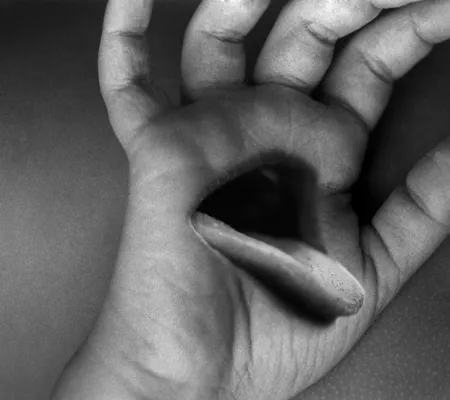 still from Maria Antelman work that involves a hand and a tongue fused together