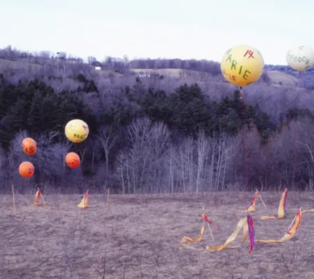 image of balloons in a field