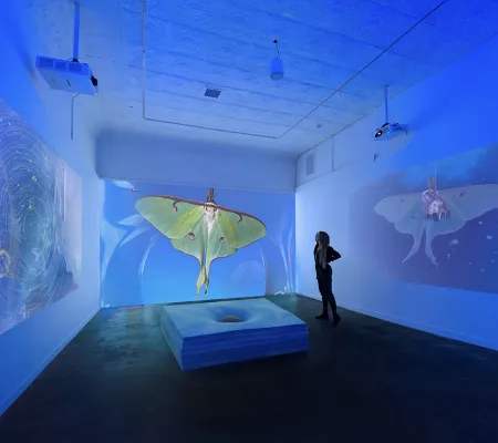 installation image