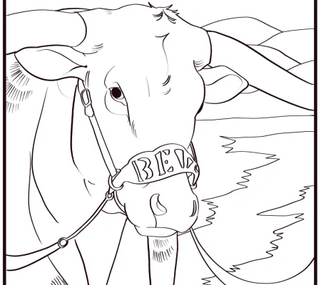 hand drawn image of Bevo as a coloring book page