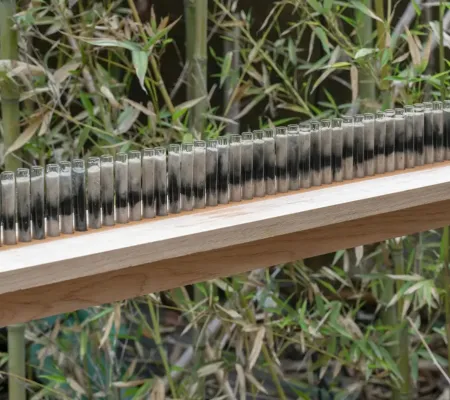 artwork by Abby Flanagan