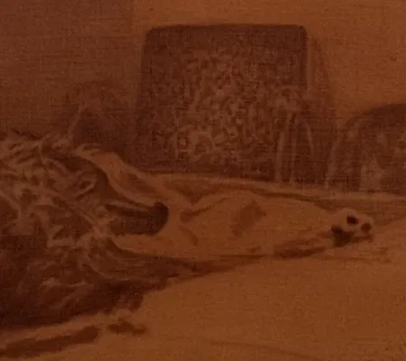 work by Troy Brauntuch