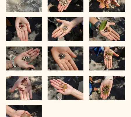 grid of images of hands holding natural materials