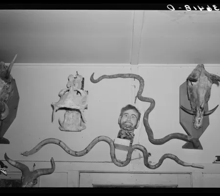 Russell Lee's photograph of Homer Tate's studio showing various oddities and gaffs on the wall