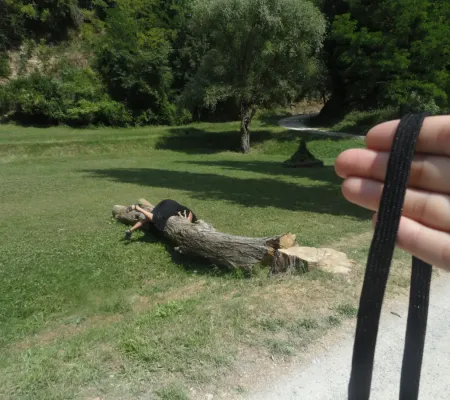 scene with person draped over downed tree trunk with hand in foreground holding black strap