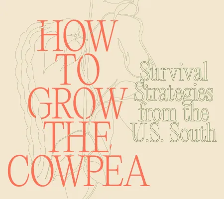 How to Grow the Cowpea: Survival Strategies from the U.S. South