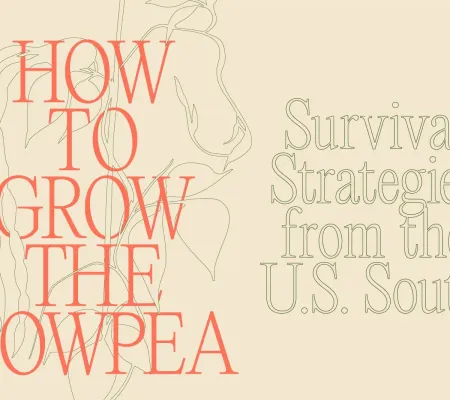 How to Grow the Cowpea: Survival Strategies from the U.S. South
