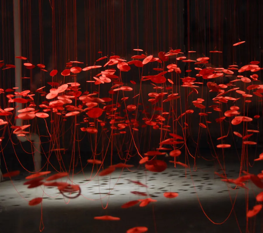 artwork by Beili Liu