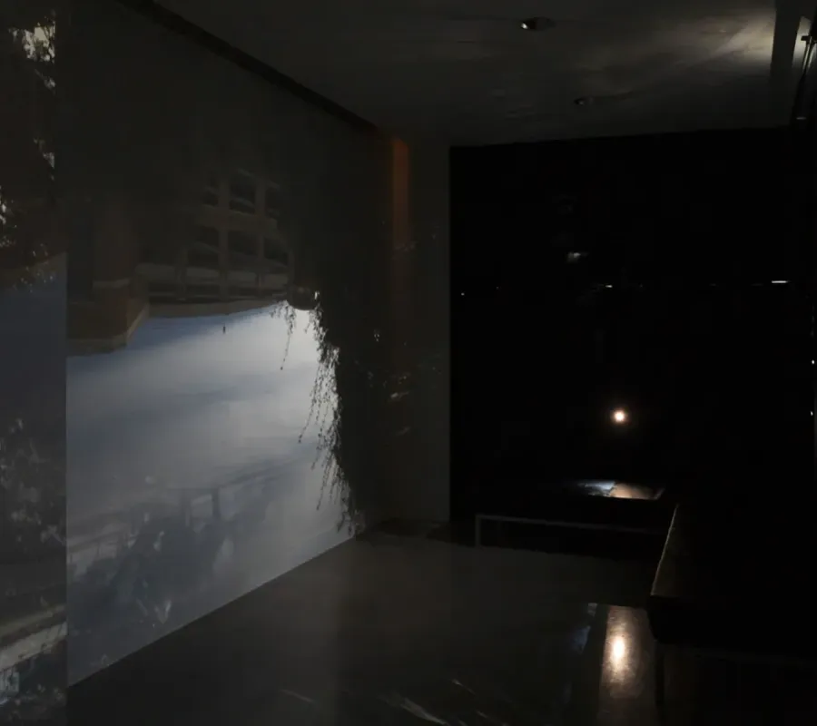 artwork by Francesca Lally