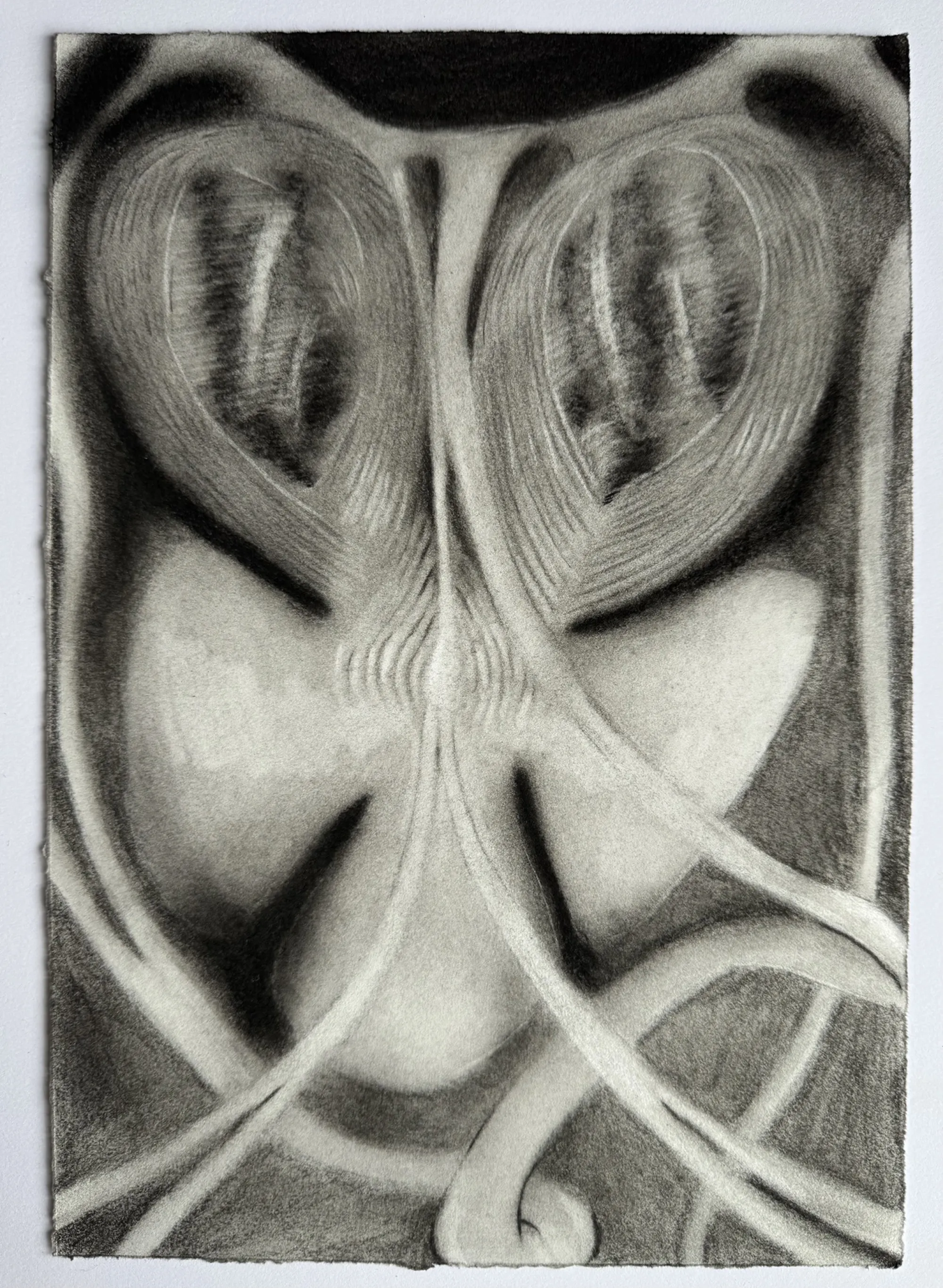 artwork by Rosalyn Farney